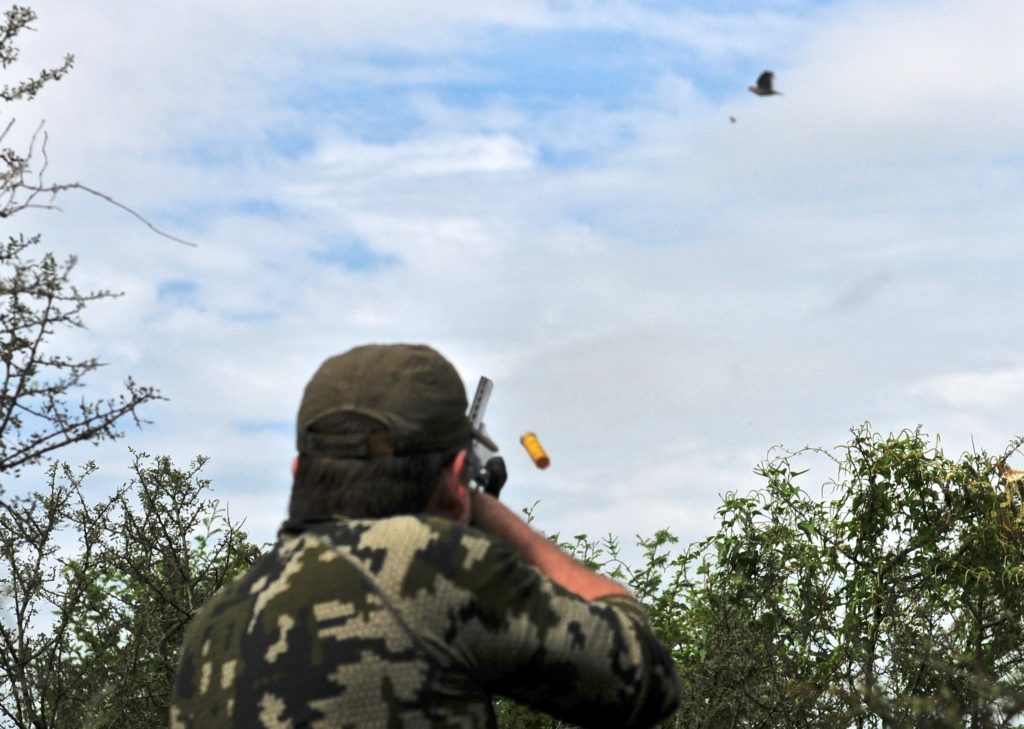 Dove for a Lifetime: Argentina Bucket List Hunt Dove for a Lifetime: Argentina Bucket List Hunt