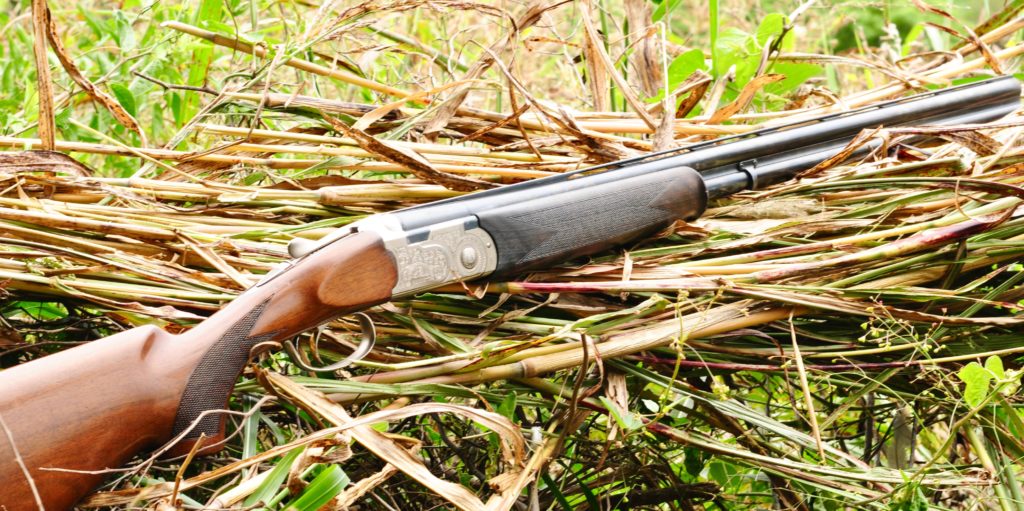 Dove for a Lifetime: Argentina Bucket List Hunt Dove for a Lifetime: Argentina Bucket List Hunt