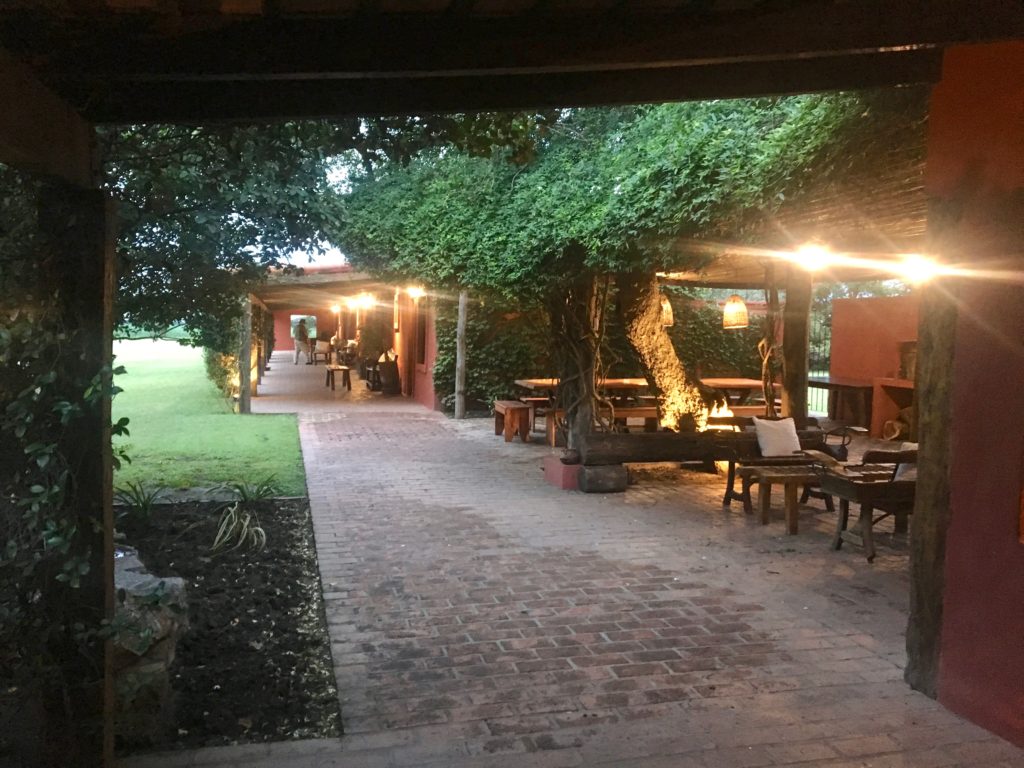 Dove for a Lifetime: Argentina Bucket List Hunt Dove for a Lifetime: Argentina Bucket List Hunt