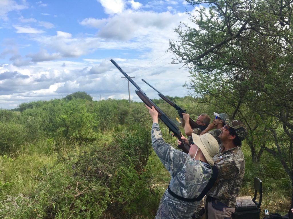 Dove for a Lifetime: Argentina Bucket List Hunt Dove for a Lifetime: Argentina Bucket List Hunt