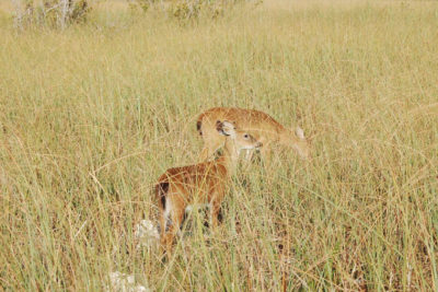 101-Year-Old Mississippi Woman Bags Two Does with One Shot