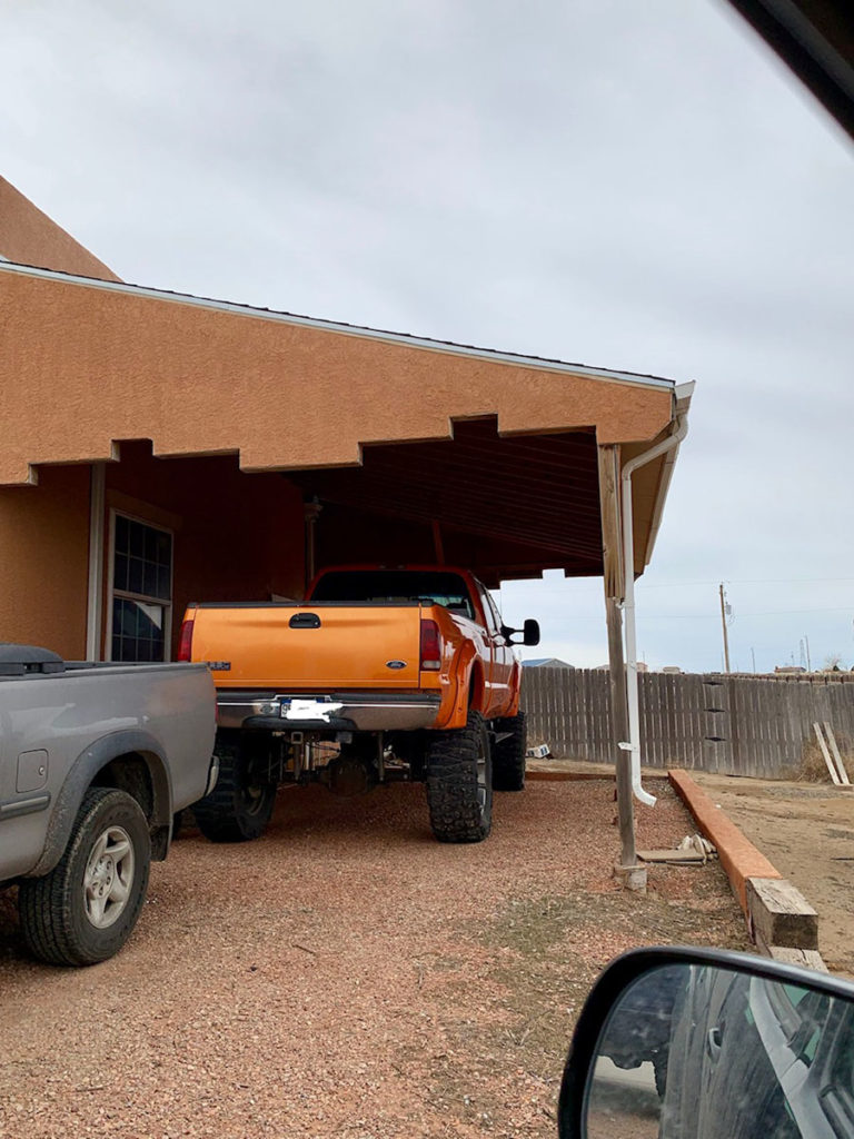 Pigeon Hunting - Hunt Year Round Pigeon Hunting - Hunt Year Round