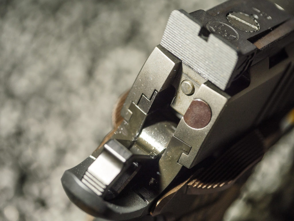 Dan Wesson's New Kodiak 10mm 1911 - NRA 2019 Dan Wesson's New Kodiak 10mm 1911 - NRA 2019