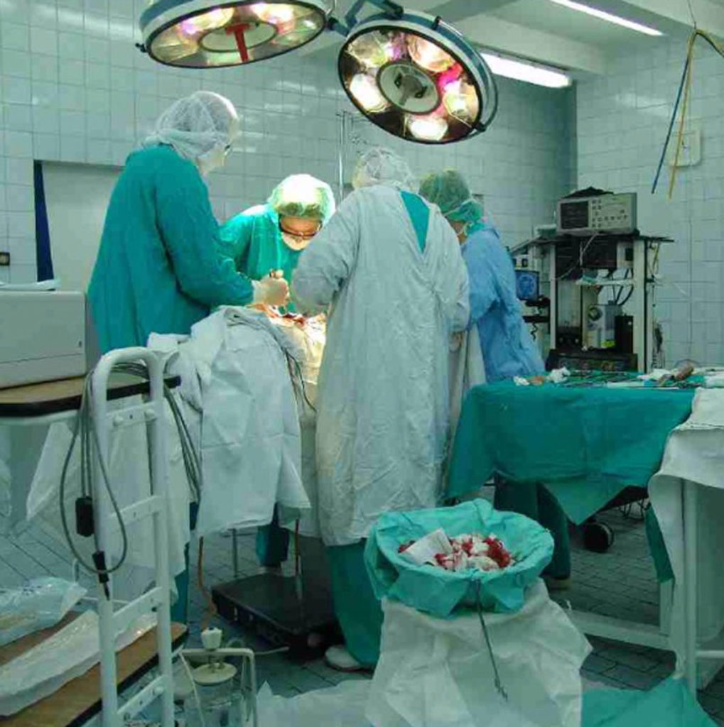 Just Like Romeo and Juliet, But Crazy Just Like Romeo and Juliet, But Crazy