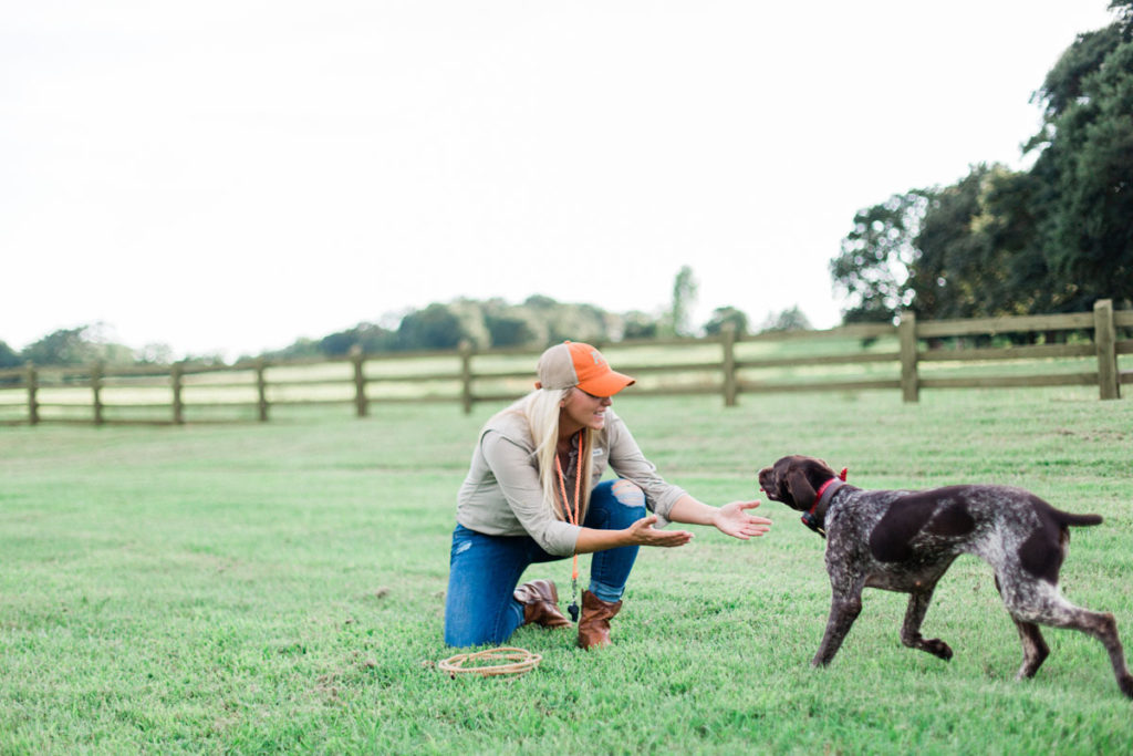 Hunt Dog Training – Getting Back to Basics Hunt Dog Training – Getting Back to Basics