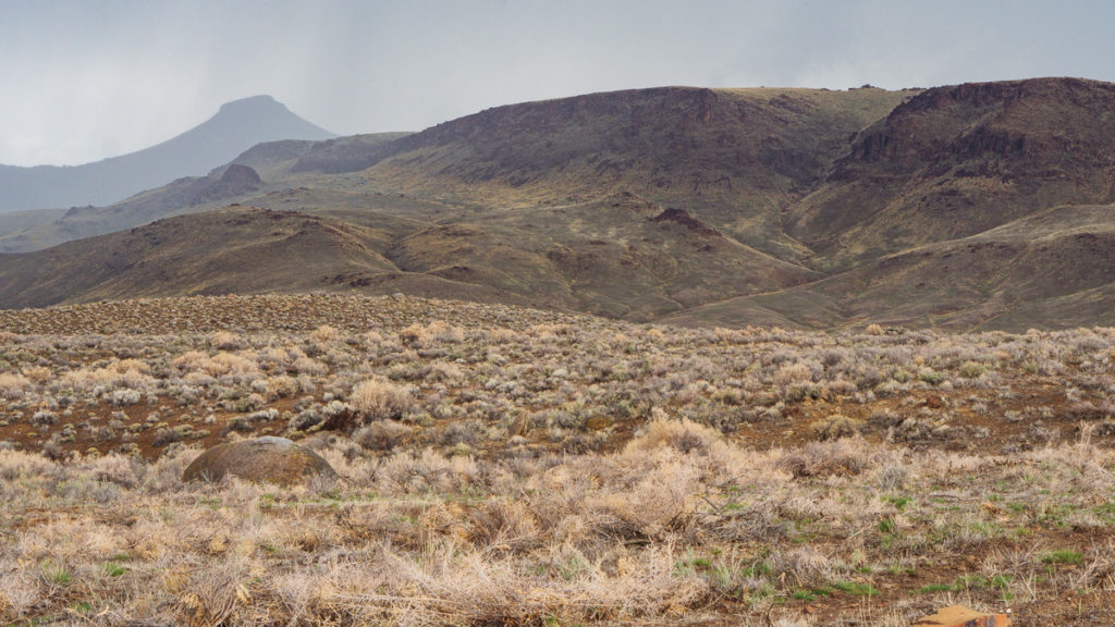 You Should Hunt More Rabbits You Should Hunt More Rabbits