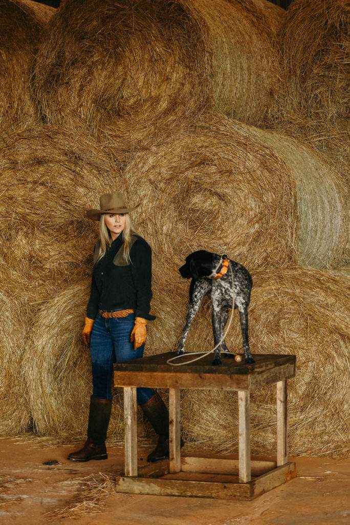 Dog Training: Setting a Plan for Success Dog Training: Setting a Plan for Success