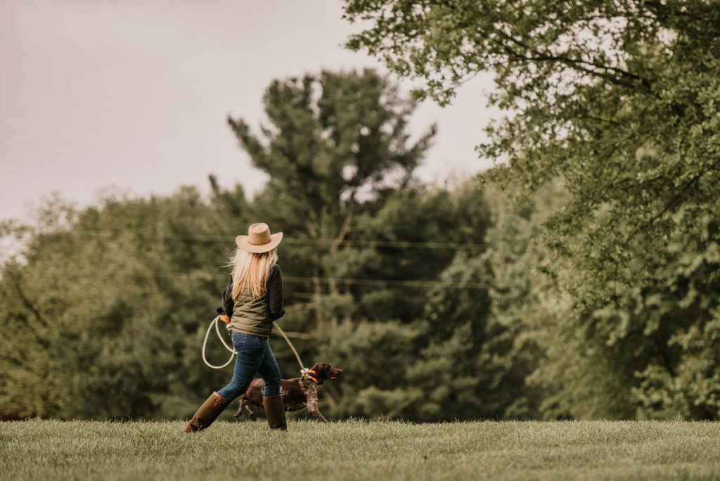 Dog Training: Setting a Plan for Success Dog Training: Setting a Plan for Success