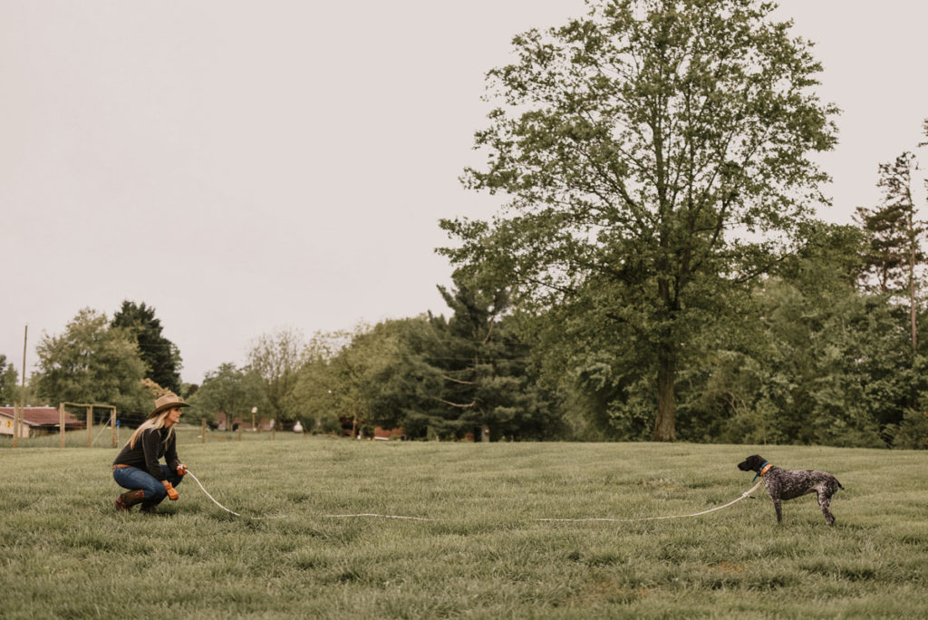 Dog Training: Setting a Plan for Success Dog Training: Setting a Plan for Success