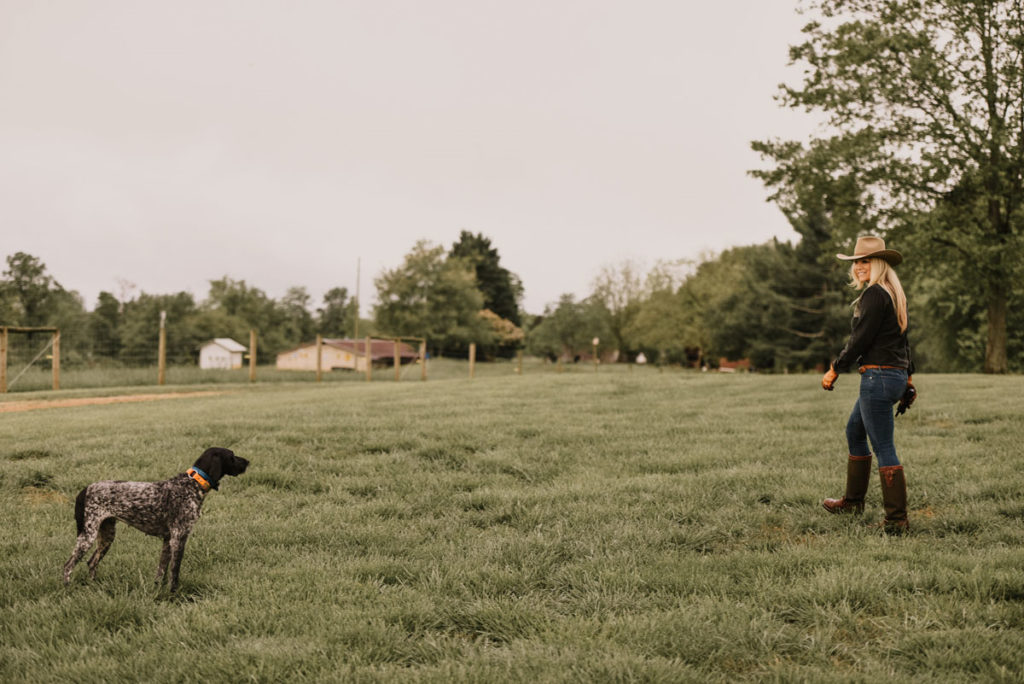 Dog Training: Setting a Plan for Success Dog Training: Setting a Plan for Success