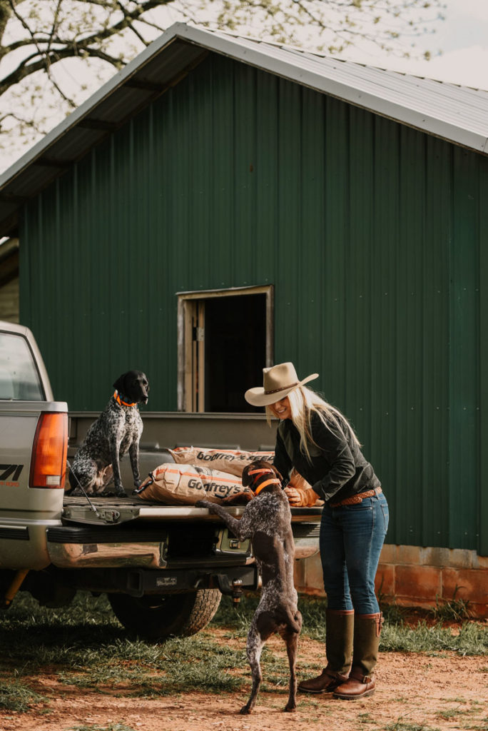 Dog Training: Setting a Plan for Success Dog Training: Setting a Plan for Success