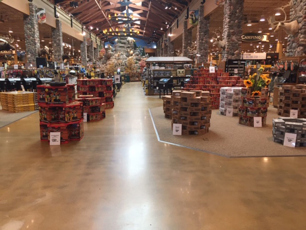 Waterfowl Shows: Find one and Go! Waterfowl Shows: Find one and Go!