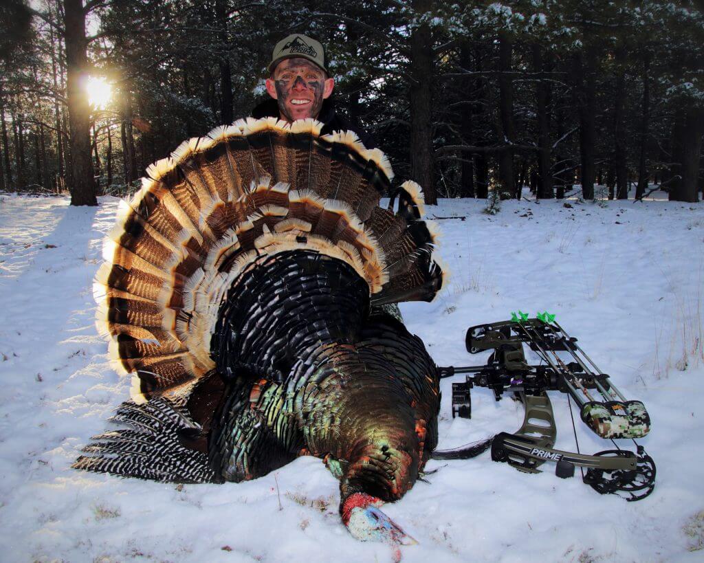 Archers: Beat Target Panic! Archers: Beat Target Panic!