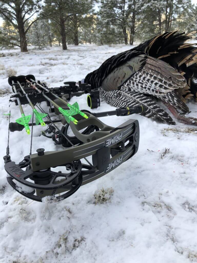 Field Test: Easton Taper T64 Full Metal Jacket Arrows Field Test: Easton Taper T64 Full Metal Jacket Arrows