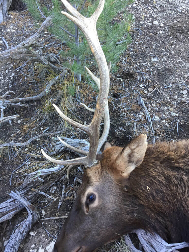 Leftover Tags Are A Great Opportunity Leftover Tags Are A Great Opportunity