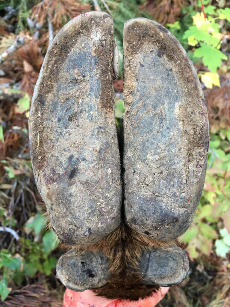 The Monarch of the Mountain The Monarch of the Mountain