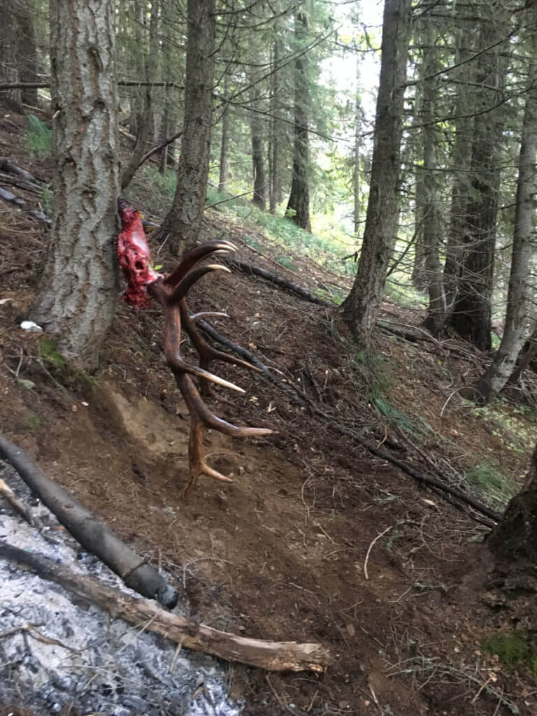 The Monarch of the Mountain The Monarch of the Mountain