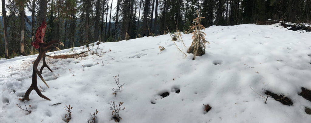 The Monarch of the Mountain The Monarch of the Mountain