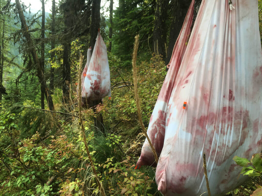 The Monarch of the Mountain The Monarch of the Mountain