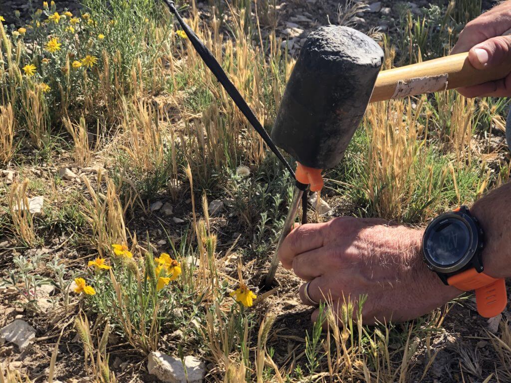 Pronghorn Part III: Setting The Blind Pronghorn Part III: Setting The Blind