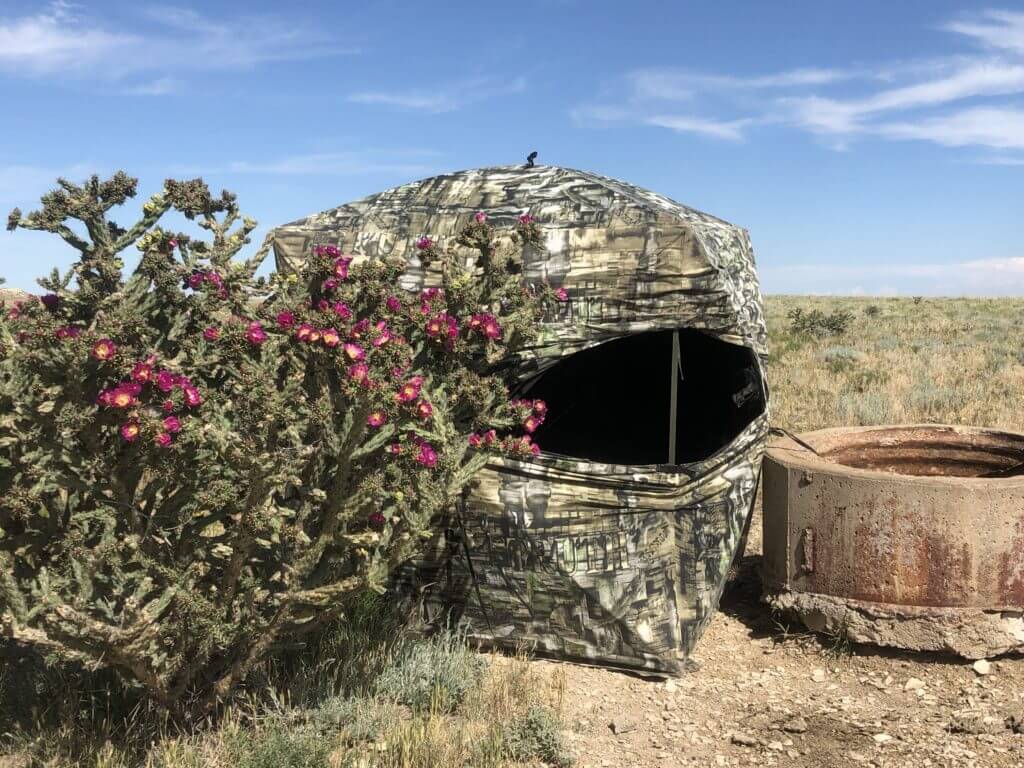 Pronghorn Part III: Setting The Blind Pronghorn Part III: Setting The Blind