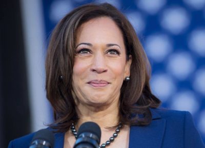 Kamala Calls for ‘Domestic Terrorism Prevention Orders’ to Seize Guns from White Nationalists