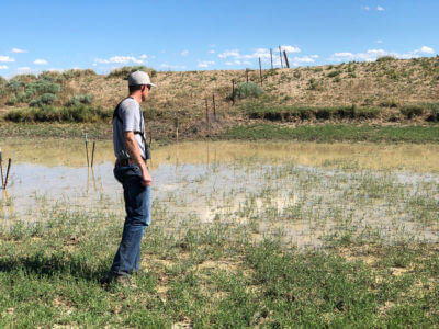 Archery Antelope - Part II - Water Source Inspection