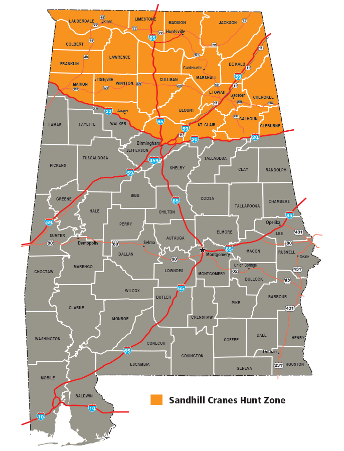 Alabama Opens Experimental Season on Sandhill Crane Alabama Opens Experimental Season on Sandhill Crane