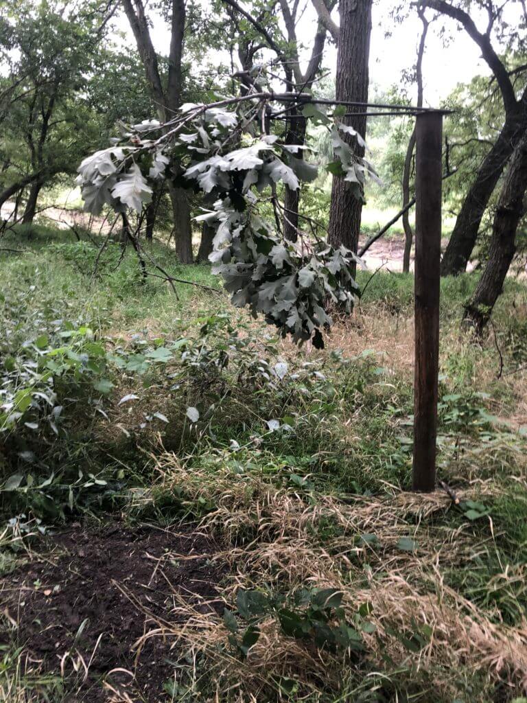 Whitetails: If You Build It, They Will Come... Whitetails: If You Build It, They Will Come...