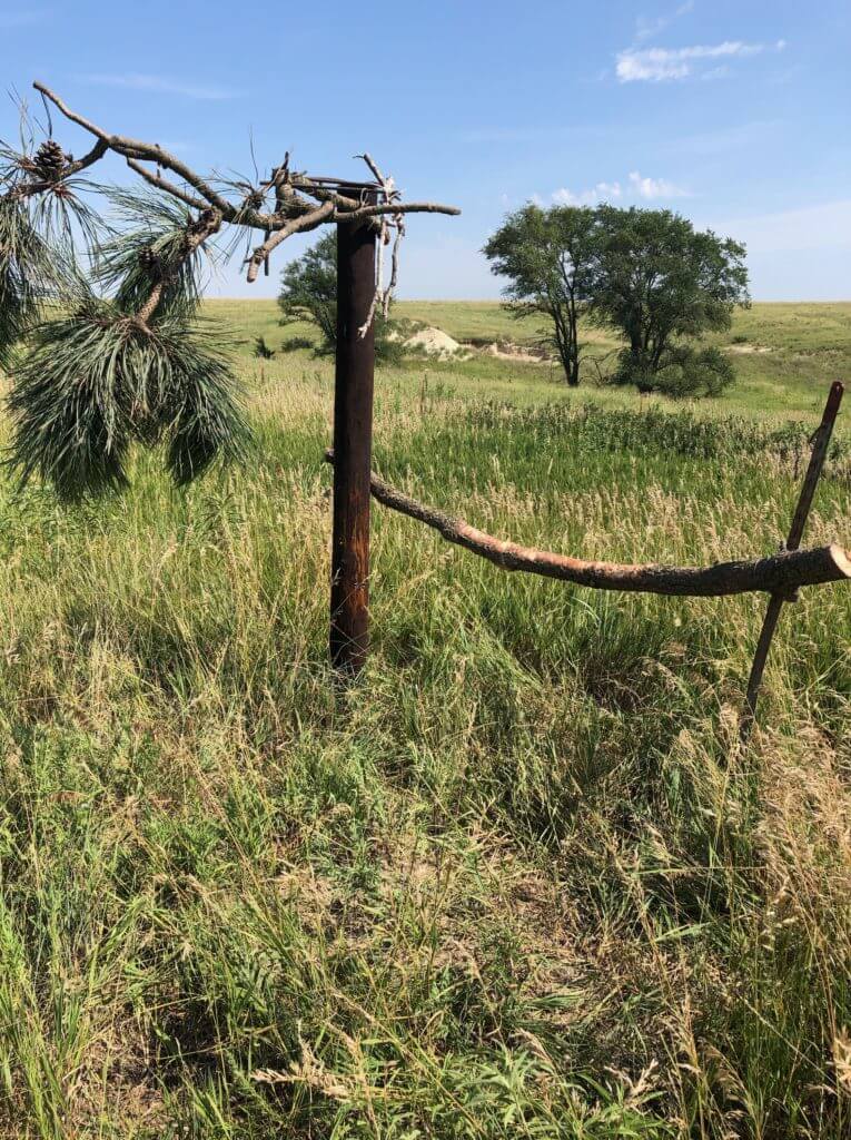 Whitetails: If You Build It, They Will Come... Whitetails: If You Build It, They Will Come...