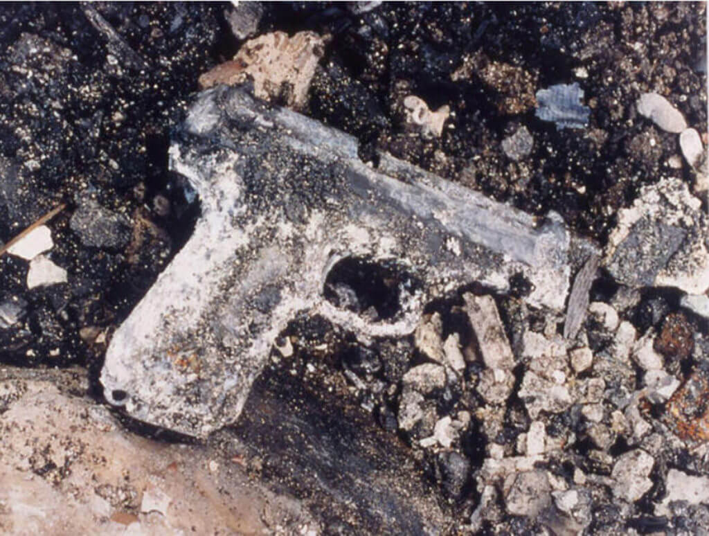 The Guns of the Waco Disaster: A Cautionary Tale