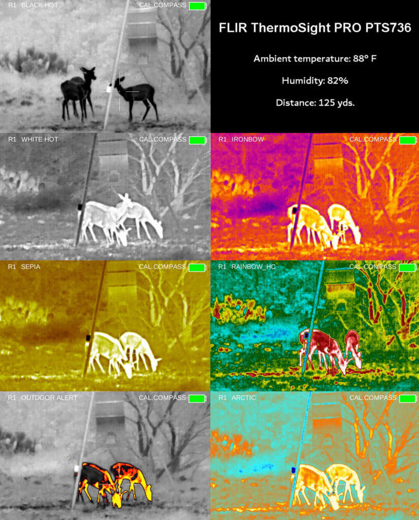 Eliminate Darkness with the FLIR PTS736 Thermosight Pro - Full Review Eliminate Darkness with the FLIR PTS736 Thermosight Pro - Full Review