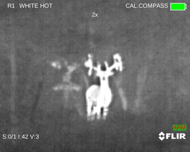 Eliminate Darkness with the FLIR PTS736 Thermosight Pro - Full Review Eliminate Darkness with the FLIR PTS736 Thermosight Pro - Full Review