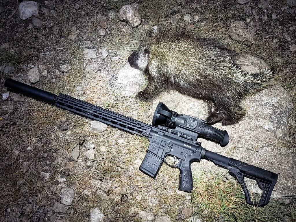 Eliminate Darkness with the FLIR PTS736 Thermosight Pro - Full Review Eliminate Darkness with the FLIR PTS736 Thermosight Pro - Full Review