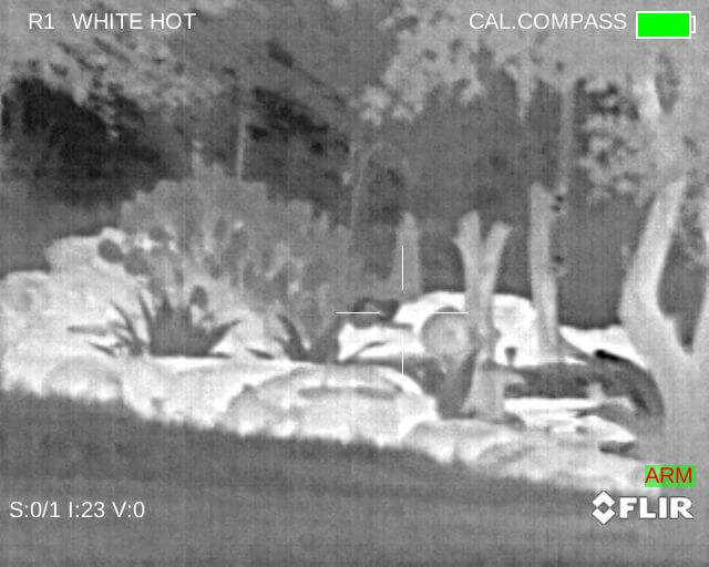 Eliminate Darkness with the FLIR PTS736 Thermosight Pro - Full Review Eliminate Darkness with the FLIR PTS736 Thermosight Pro - Full Review