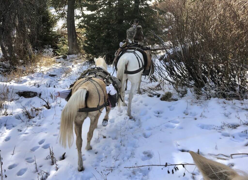 Cold Feet in the Field? The Solution: ActionHeat Heated Insoles Cold Feet in the Field? The Solution: ActionHeat Heated Insoles