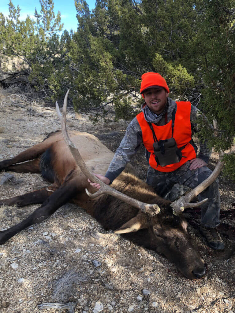 Late Season Still Hunting Elk Late Season Still Hunting Elk