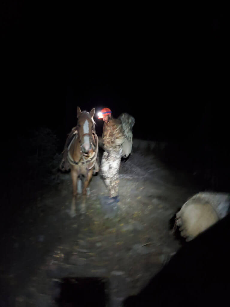 Unforgettable Elk Hunt With the SIG CROSS Rifle in .277 SIG FURY