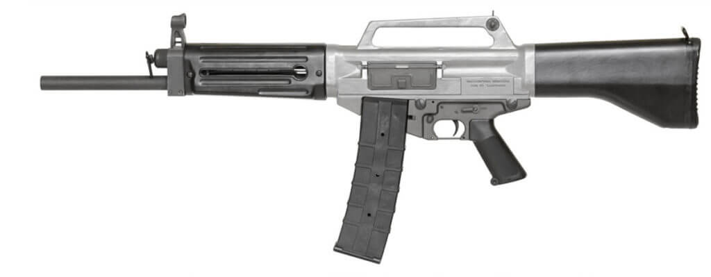 Martin Bryant and the Port Arthur Massacre: The Homicidal Lunatic That Disarmed a Nation Martin Bryant and the Port Arthur Massacre: The Homicidal Lunatic That Disarmed a Nation