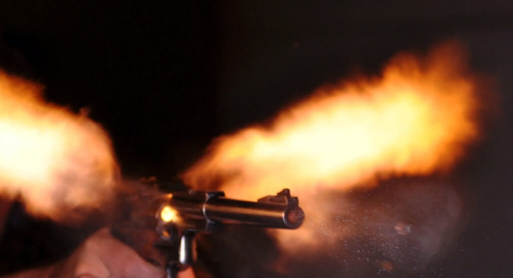 The Violent Accidental Death of Brandon Lee: The Smith and Wesson Model 629 .44 Magnum The Violent Accidental Death of Brandon Lee: The Smith and Wesson Model 629 .44 Magnum