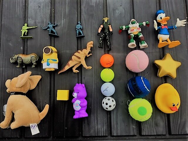 Stuck at Home? Shooting Things Around the House Stuck at Home? Shooting Things Around the House