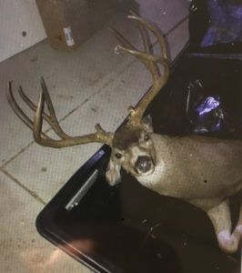 California Man Fined $20,000 for Poaching Trophy Buck