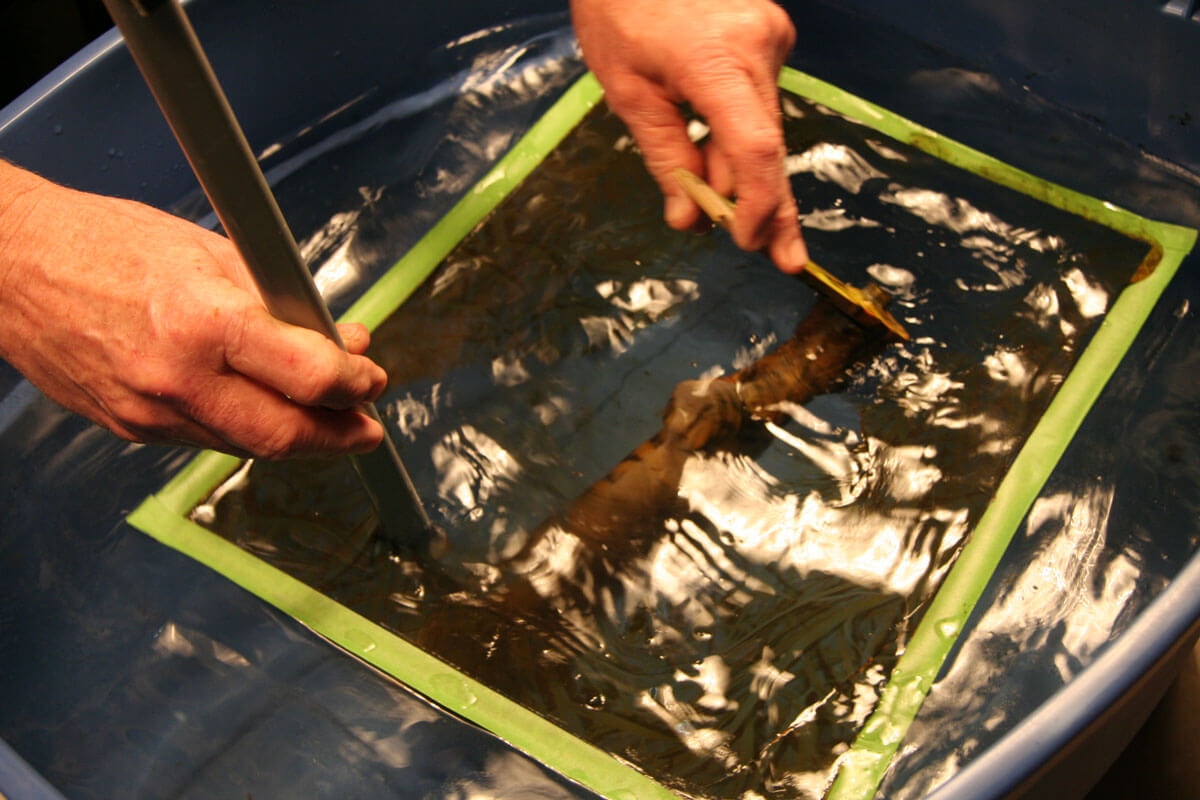 Updating Your Gun with Hydrodipping How To Gun Reviews and News