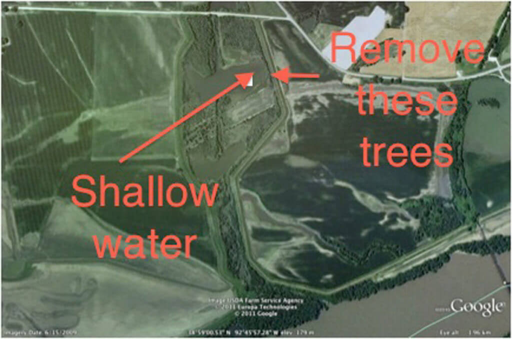 More Places to Hunt Waterfowl More Places to Hunt Waterfowl