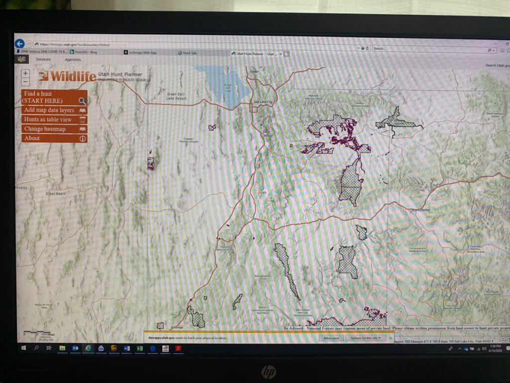 Pandemic Scouting Pandemic Scouting