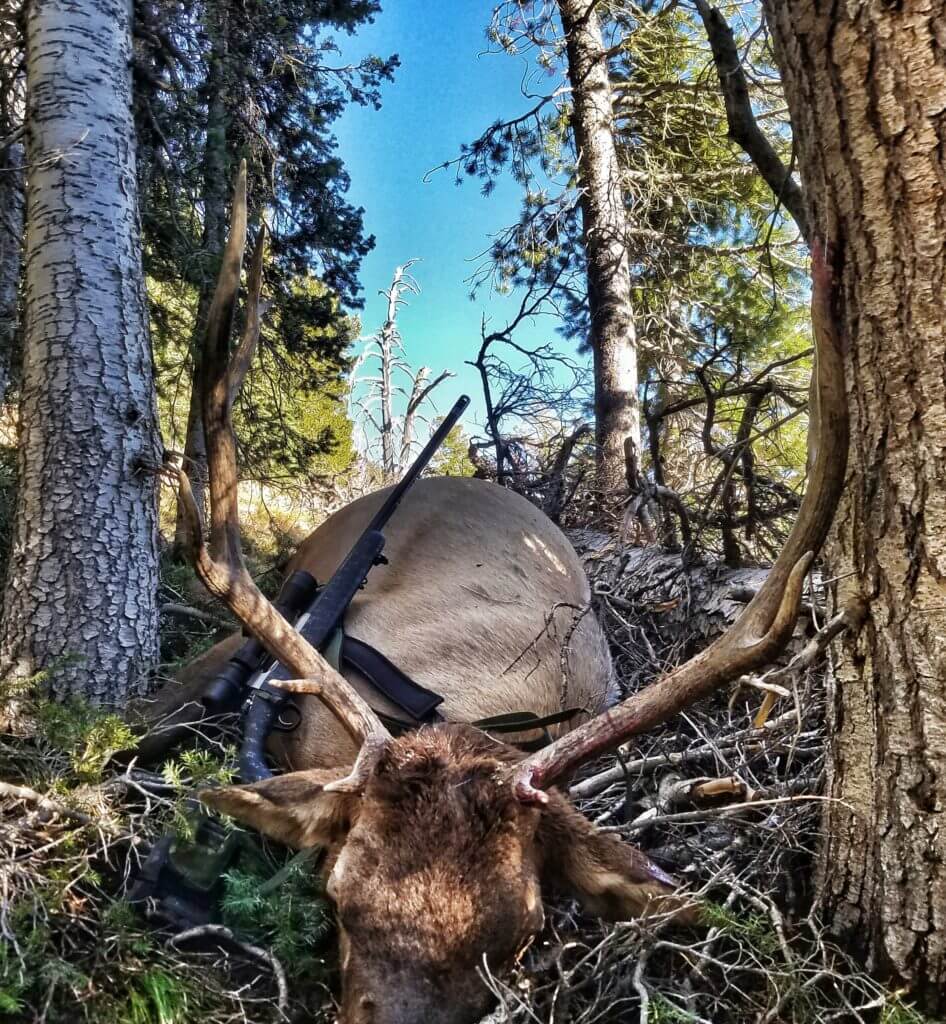 Long Range Powerhouse: Christensen Arms Ridgeline in 28 Nosler - Review Long Range Powerhouse: Christensen Arms Ridgeline in 28 Nosler - Review