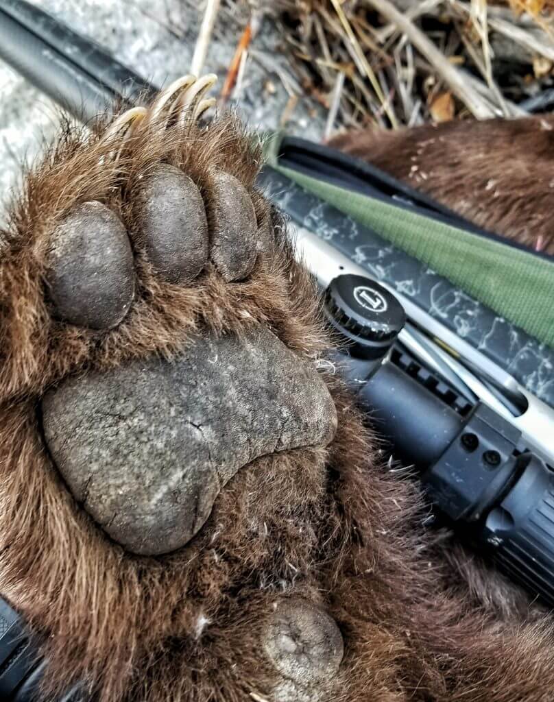 Long Range Powerhouse: Christensen Arms Ridgeline in 28 Nosler - Review Long Range Powerhouse: Christensen Arms Ridgeline in 28 Nosler - Review