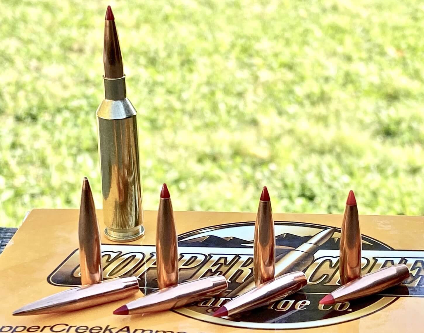 The Amazing 22 Creedmoor A Wildcat Worth a Hard Look