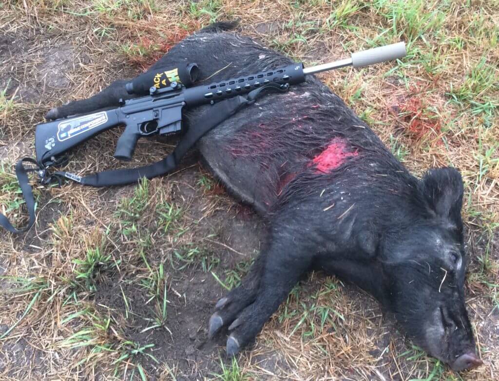 Lessons Learned: Premium or Standard Construction Bullets? Lessons Learned: Premium or Standard Construction Bullets?