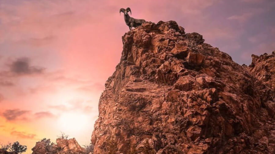 Colorado Parks Commission Now Requires License for Hiking on Park Land Colorado Parks Commission Now Requires License for Hiking on Park Land